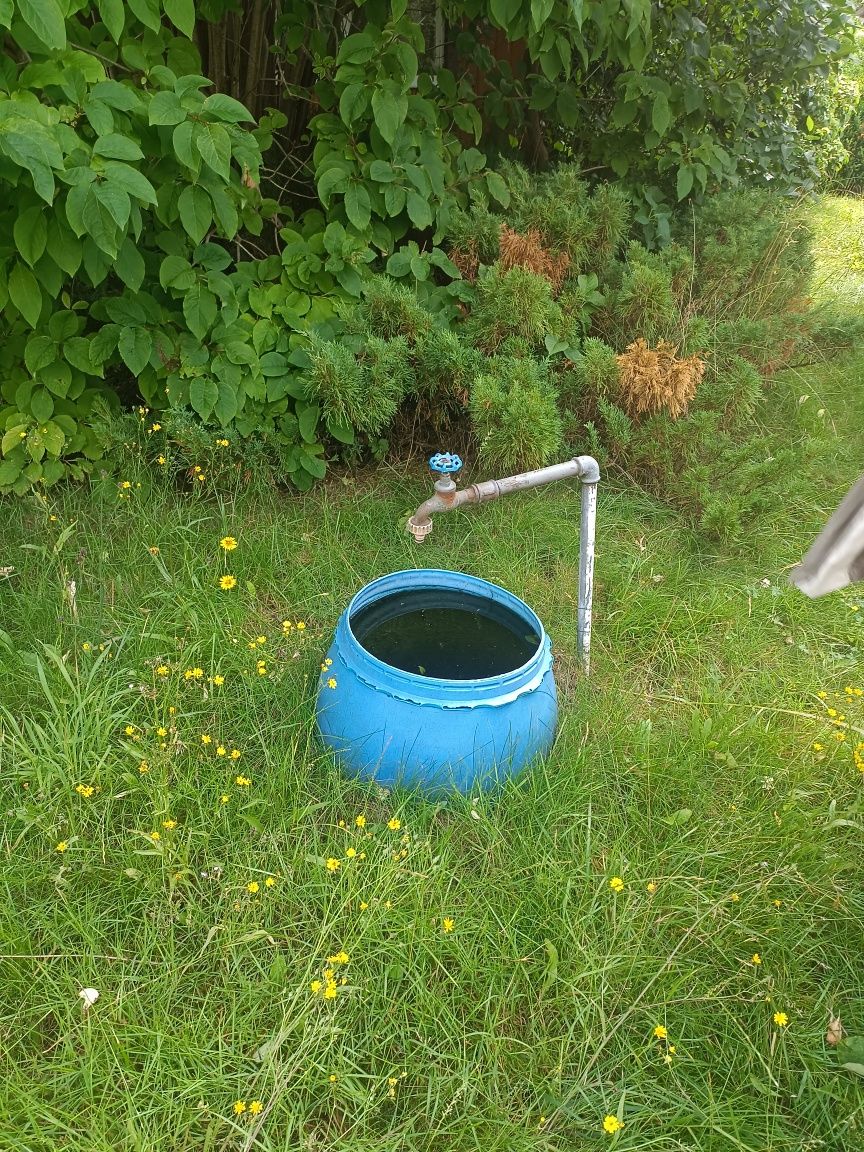 Działka ROD w Słupsku