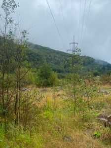 під СТО, м. Сколе, вул. Кн. Святослава, продаж землі ,0,0486 га