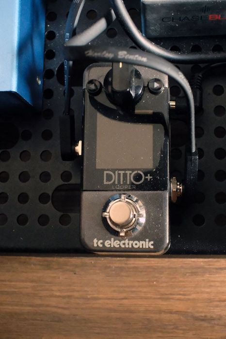 Looper Ditto+ TC Electronics