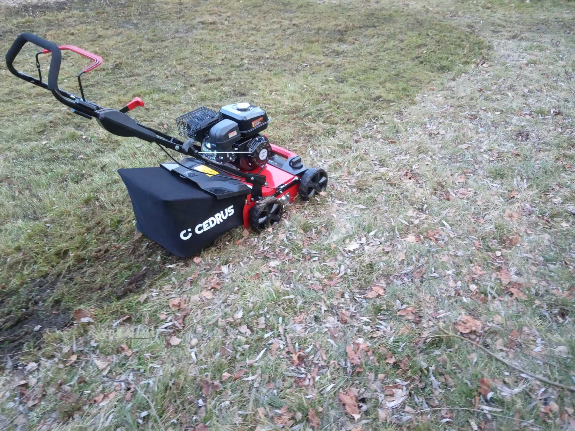 Wynajem wertykulatora aerator wertykulator spalinowy Cedrus Myszków