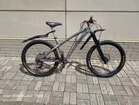 Dartmoor Hornet 2021