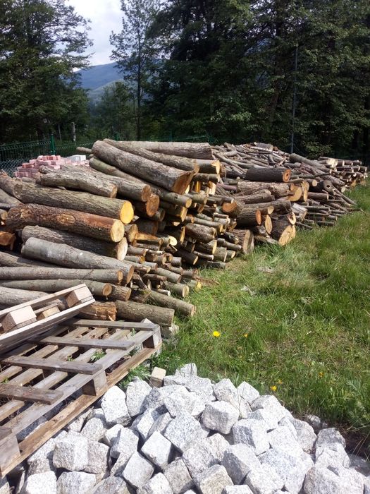 Drewno kominkowe Buk Dąb Jesion