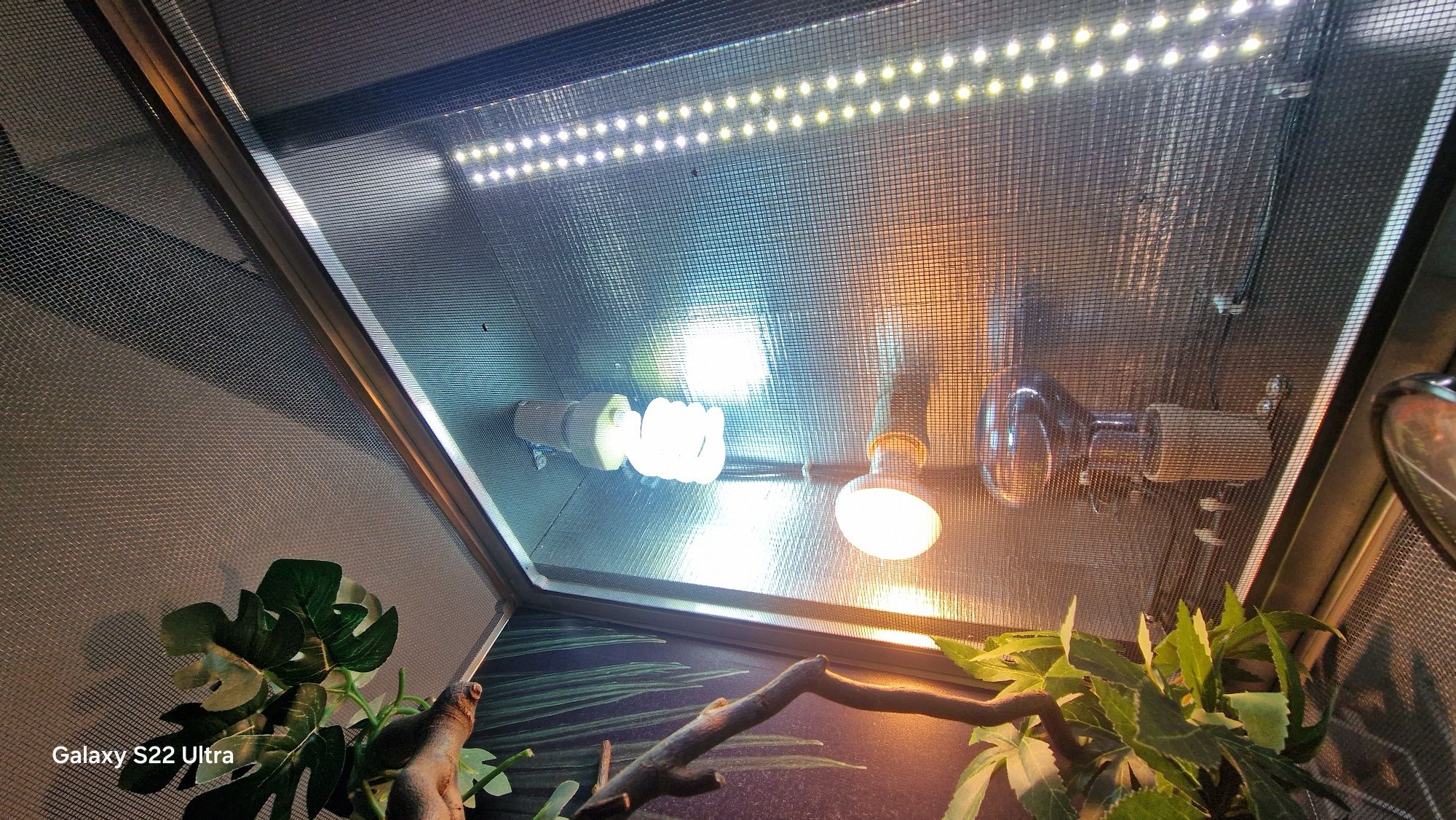 Terrarium z oświetleniem siatkowe