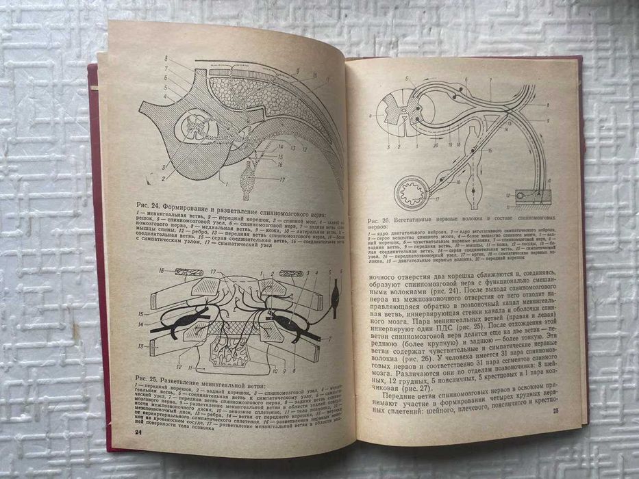 Мануальная терапия дистрофических заболеваний позвоночника.