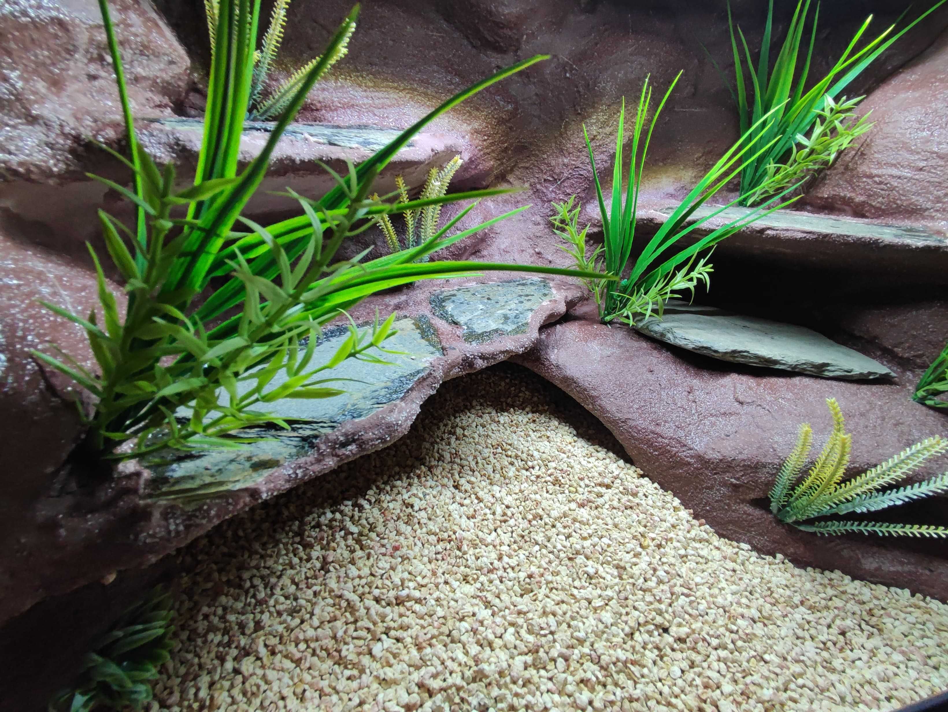 Terrarium pustynne nr741 60/40/40 dla gekona lamparciego DOSTĘPNE