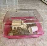 Gaiola Hamster 10€