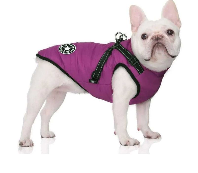 Zimowa Kurtka dla Psa z Uprzężą | Rozmiar S | Wodoodporna Ciepła