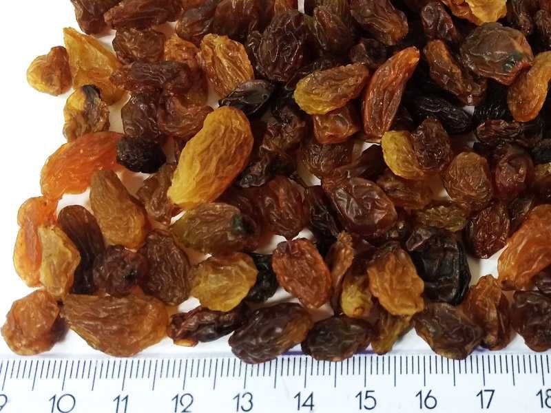 Rodzynki średnia wielkość Indyjskie. naturalne nie siarkowane 10 kg
