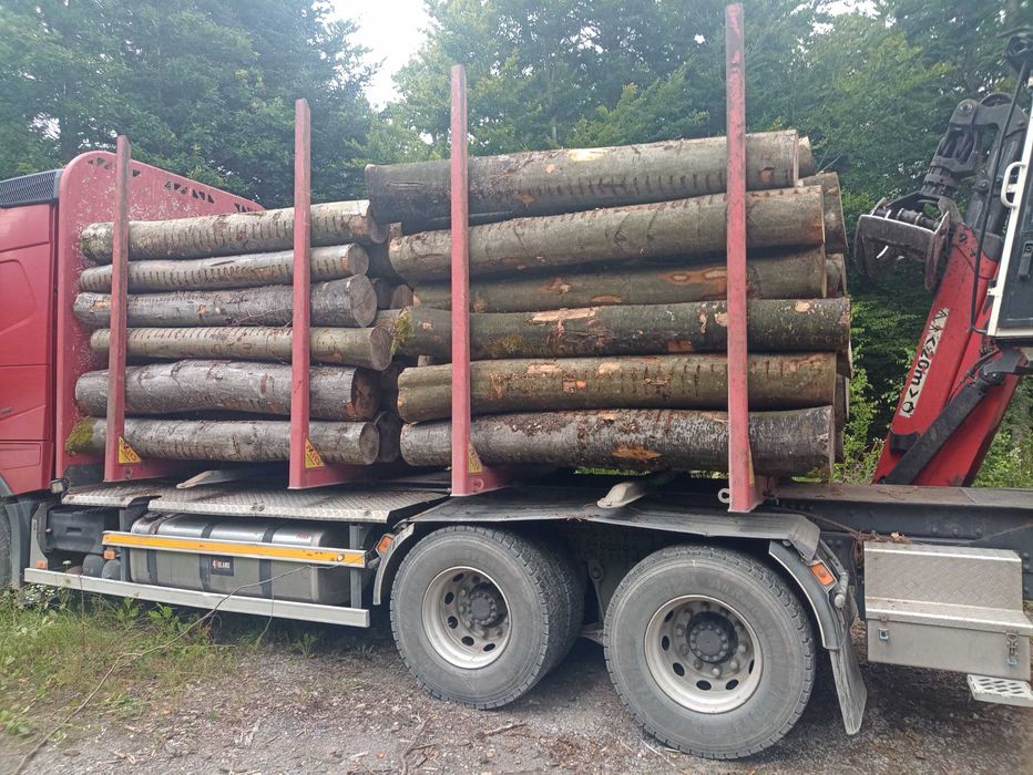 Drewno Kominkowe Opałowe ilości Cało Tirowe