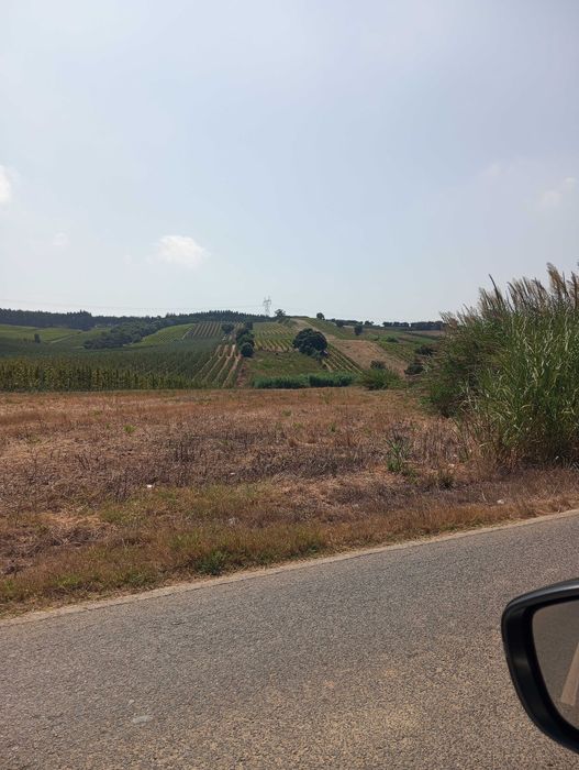 Terreno agrícola