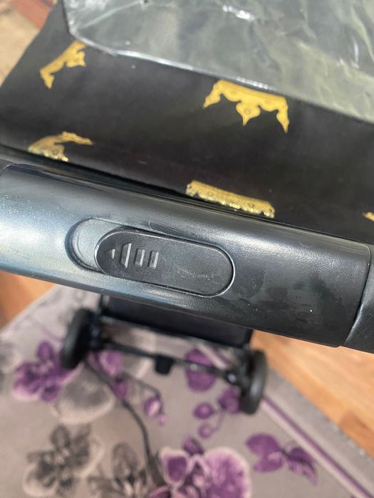 Коляска Danke Prime з коронами