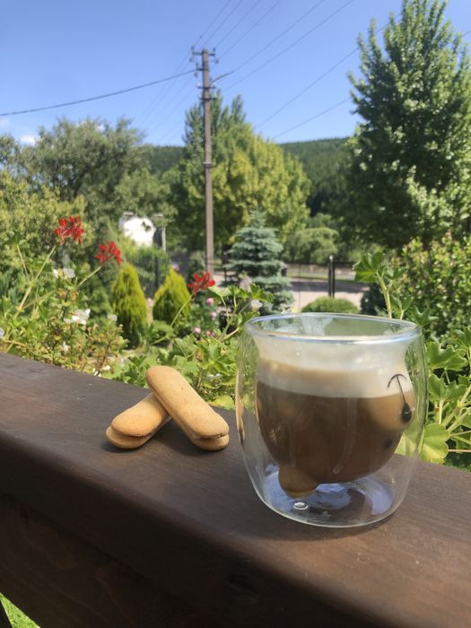 Будиночок для відпочинку Guesthouse в Сколе