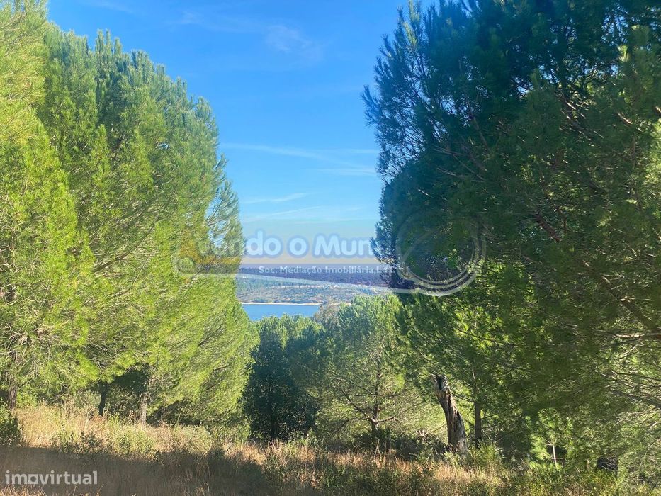 Terreno em Montargil (MTG002)