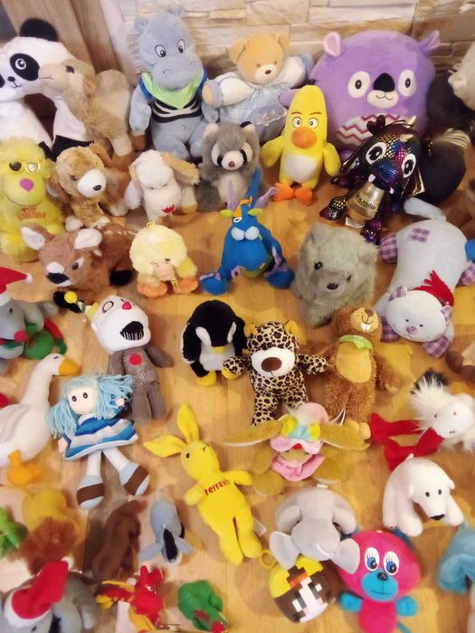 Maskotka pies piesek kot  maskotki kotek pluszak