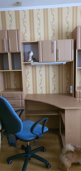 Дитячий шкільний куточок .