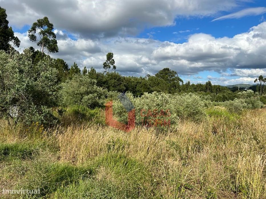 Terreno rústico/Olival (com oliveiras a partir de 6 anos) com 1360m...
