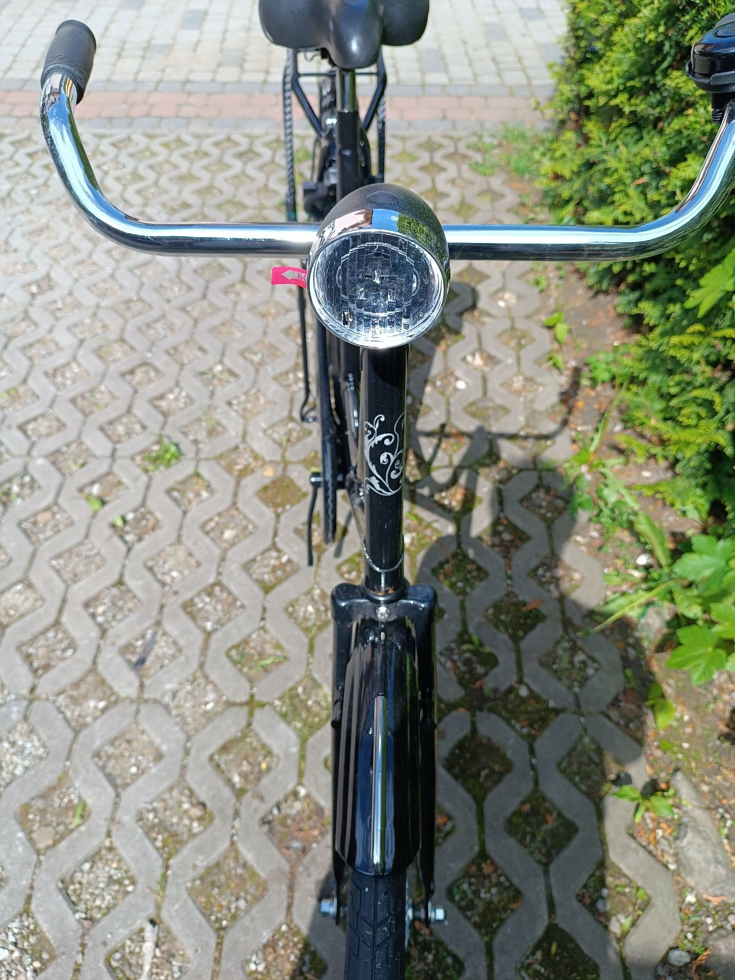 Nowa śliczna holenderka Van Cranenbroek