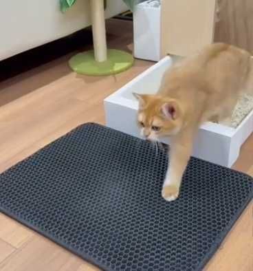 Tapete de areia para gatos