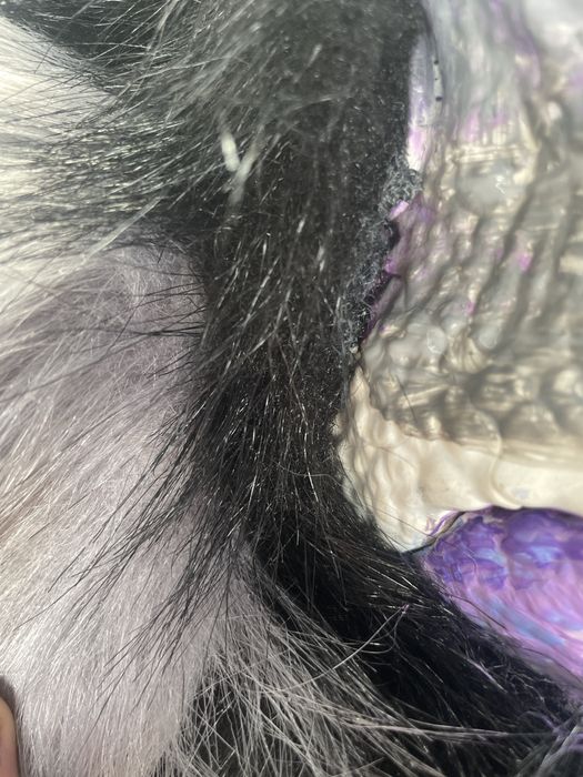 Maska Fursuit Dino Mask furry