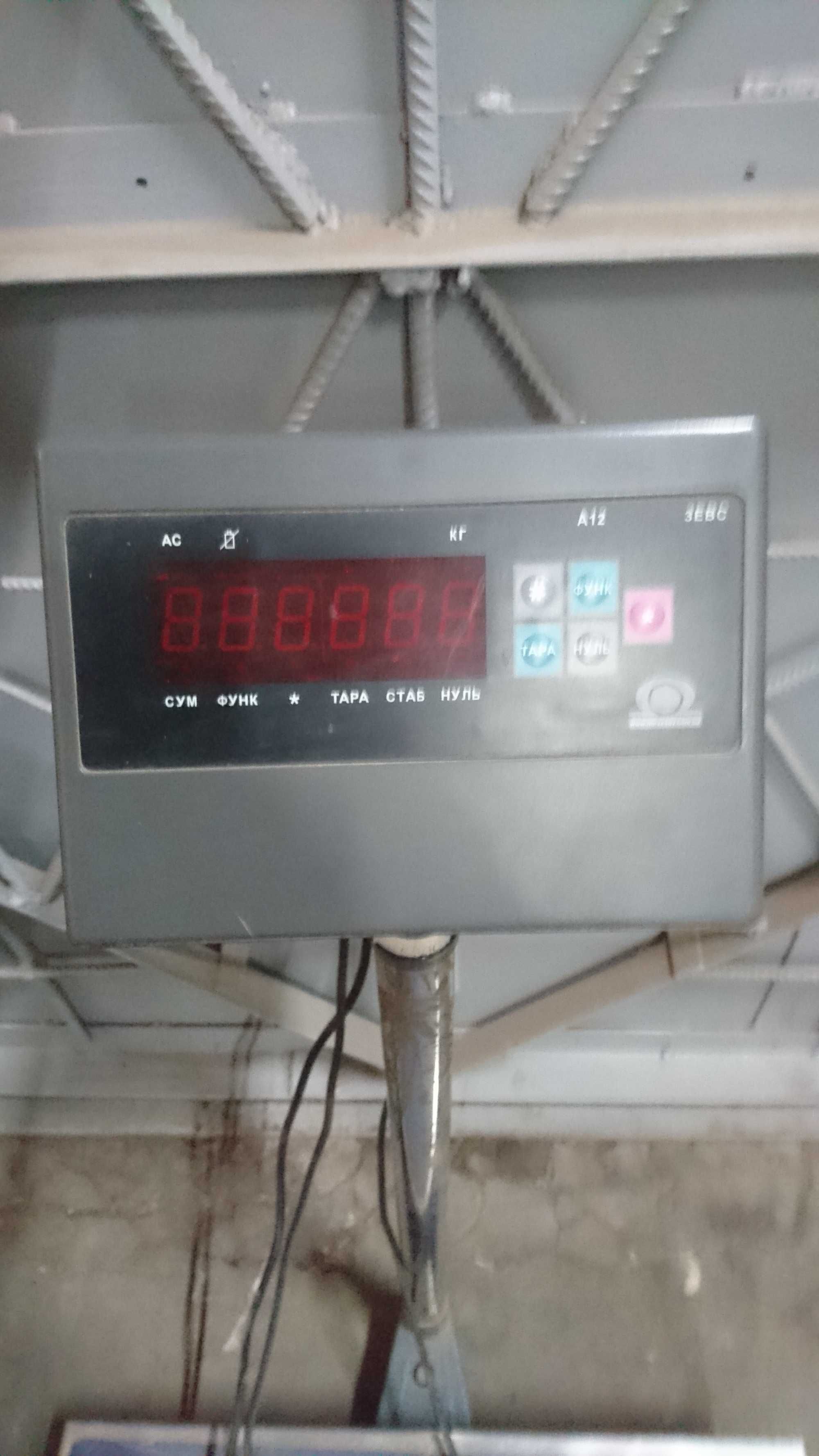 Весы электронные 500кг ЗЕВС ВПЕ-500-1 (L0608) A12E подкл. к компьютеру
