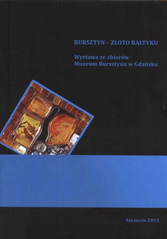 Bursztyn Złoto Bałtyku Katalog