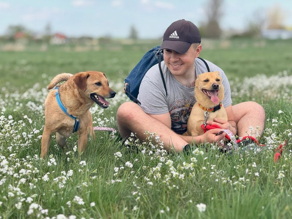 Młody, towarzyski Żwirek czeka na dom