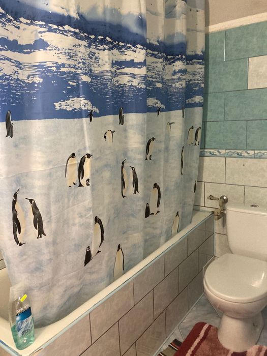 Запсонь подобово