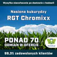 Kukurydza RGT Chromixx F1, C1, opak. 50 tys.n. | dlaroslin.pl