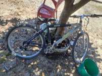 Bicicleta  excelente  estado