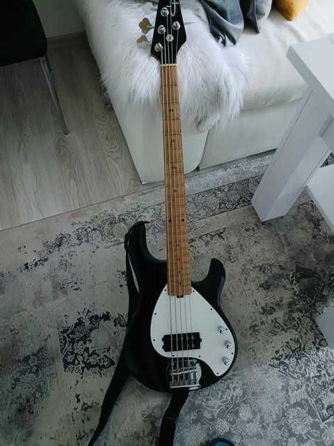 Gitara basowa OLP 5 Ernie Ball ( Music Man ) 5 strun