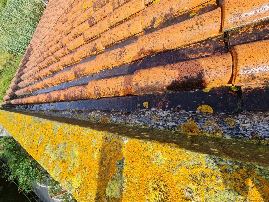 Limpeza e impermeabilização de telhados e pinturas