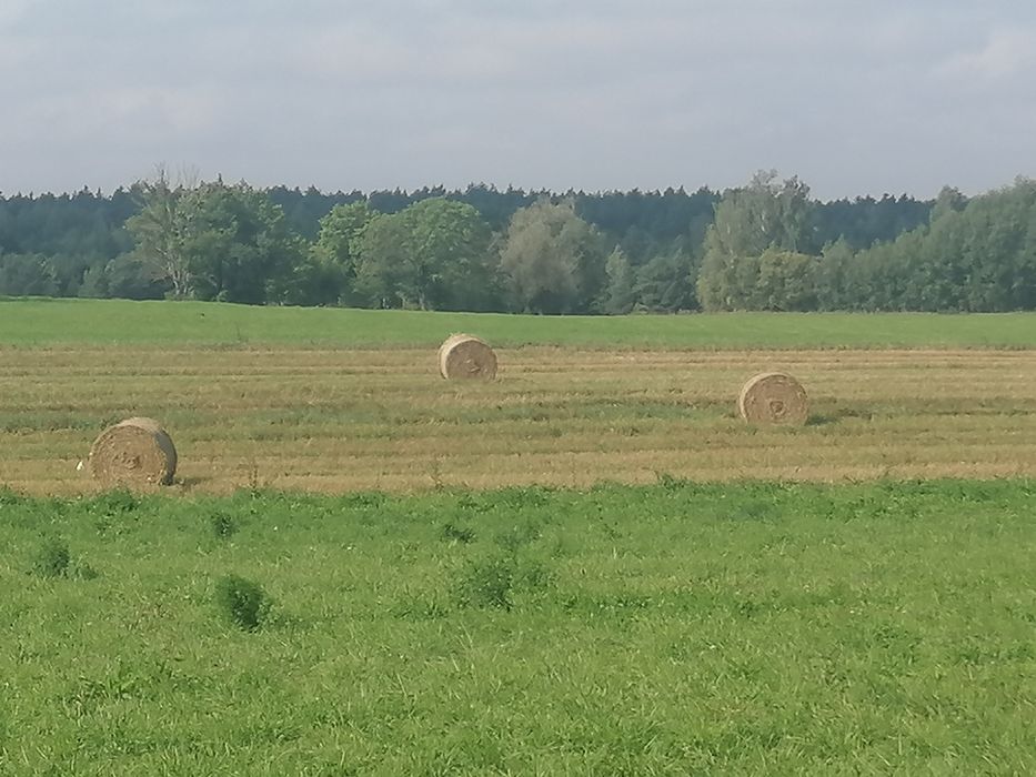 Słoma bele 130 cm