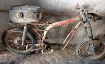 Quadro MSC - Masac