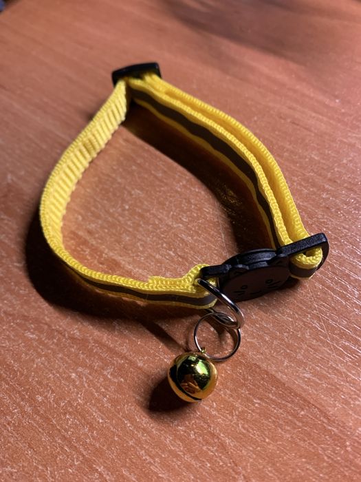 Світловідбивний Нашийник для котів