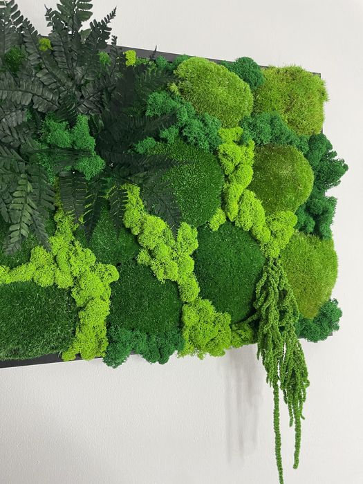 Obraz z mchu, prezent, dekoracja