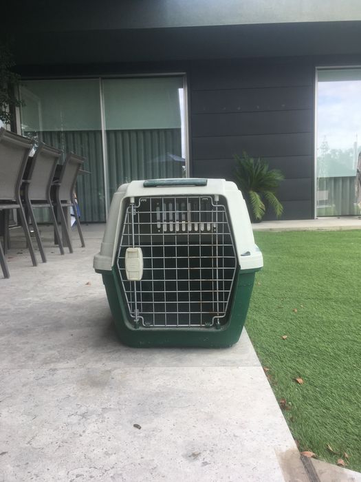 Transportadora animais