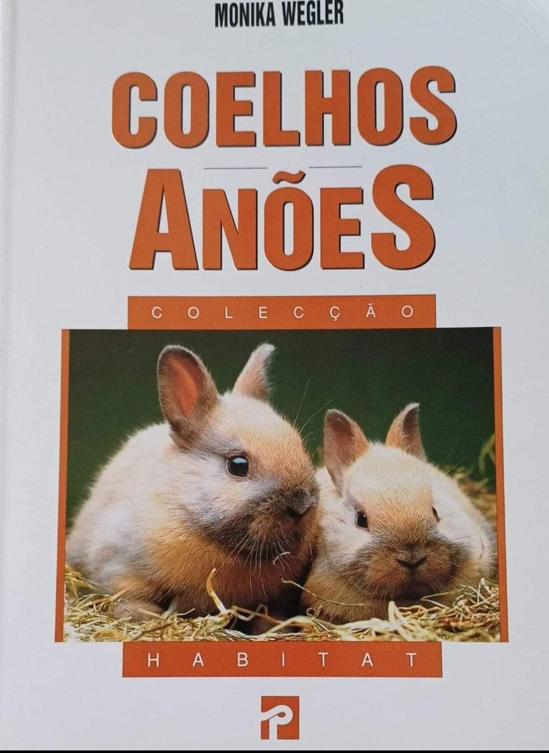 Coelhos Anões Livro Novo