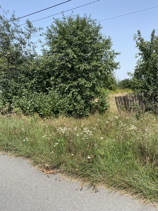 Ділянка в селі Микуличі