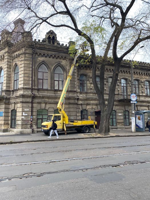 Спиливание , обрезка деревьев