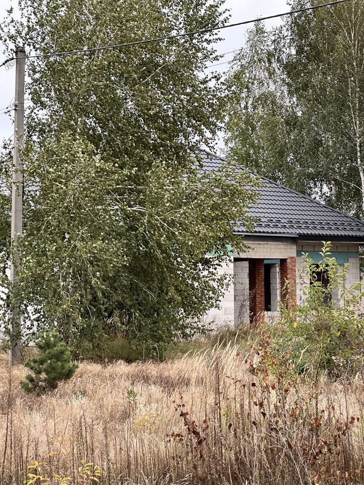 Продаж будинку з березами та ділянці