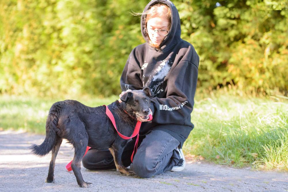 Badu: wierny, nakolankowy towarzysz