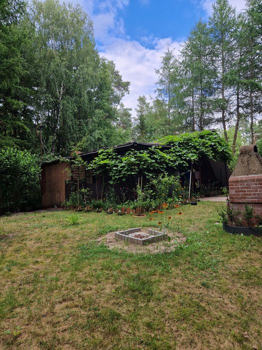 Działka rekreacyjna