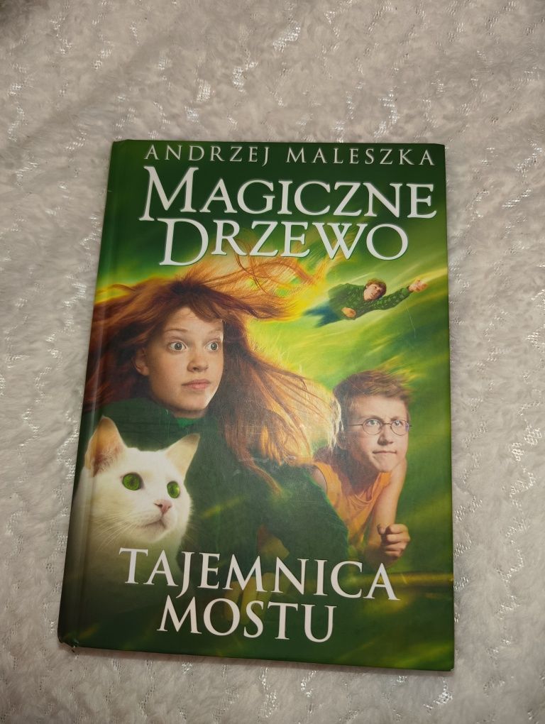 Książka magiczne drzewo tajemnica mostu