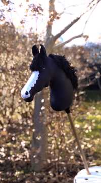 Hobby horse kary