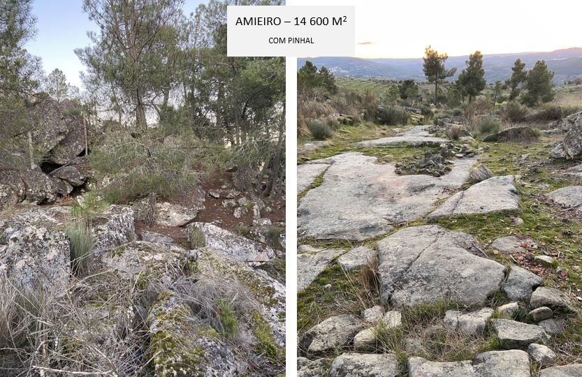 Terrenos rústicos para venda em Paredes da Beira, S. João da Pesqueira