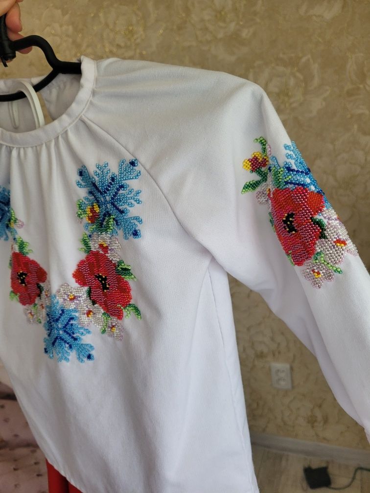 Вишиванка з спідничкою