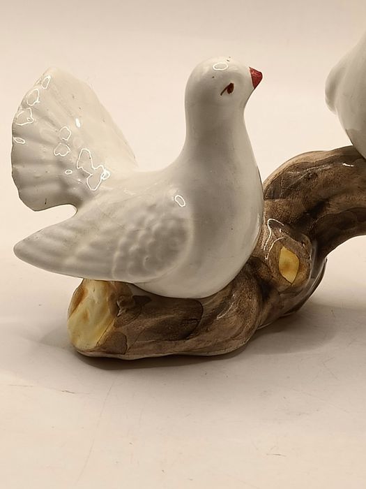 Para gołębi turkawek na gałęzi w Włoskim stylu