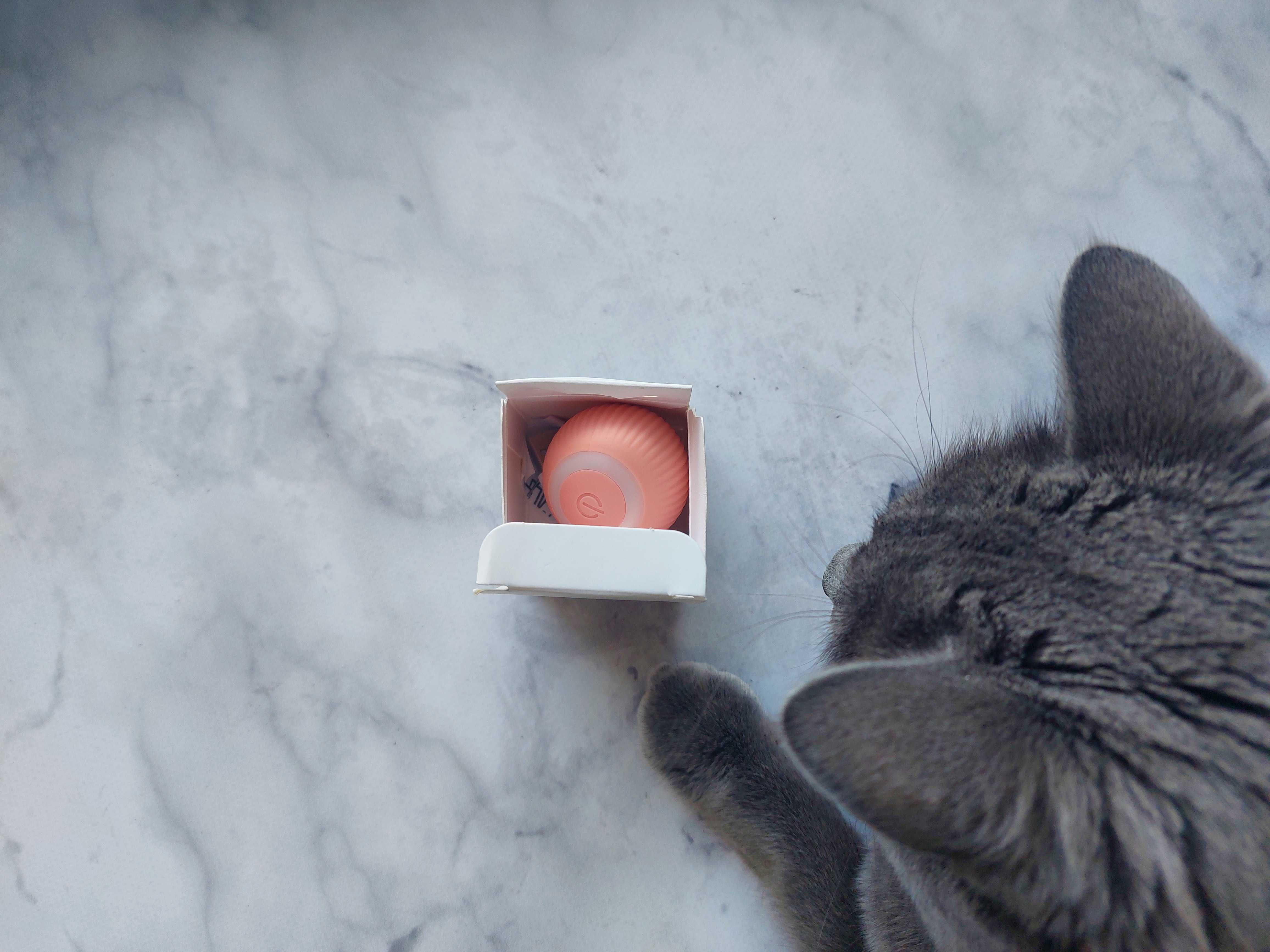 Інтерактивна іграшка м'яч для котів PetGravity – нова.