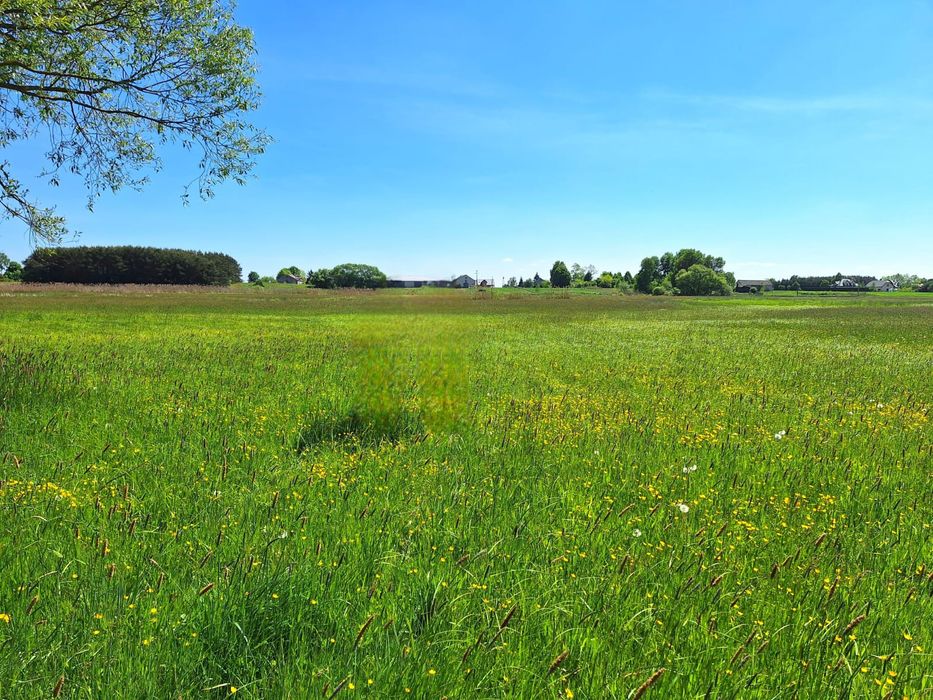 Działka Łąka Pastwisko Ortel Książęcy