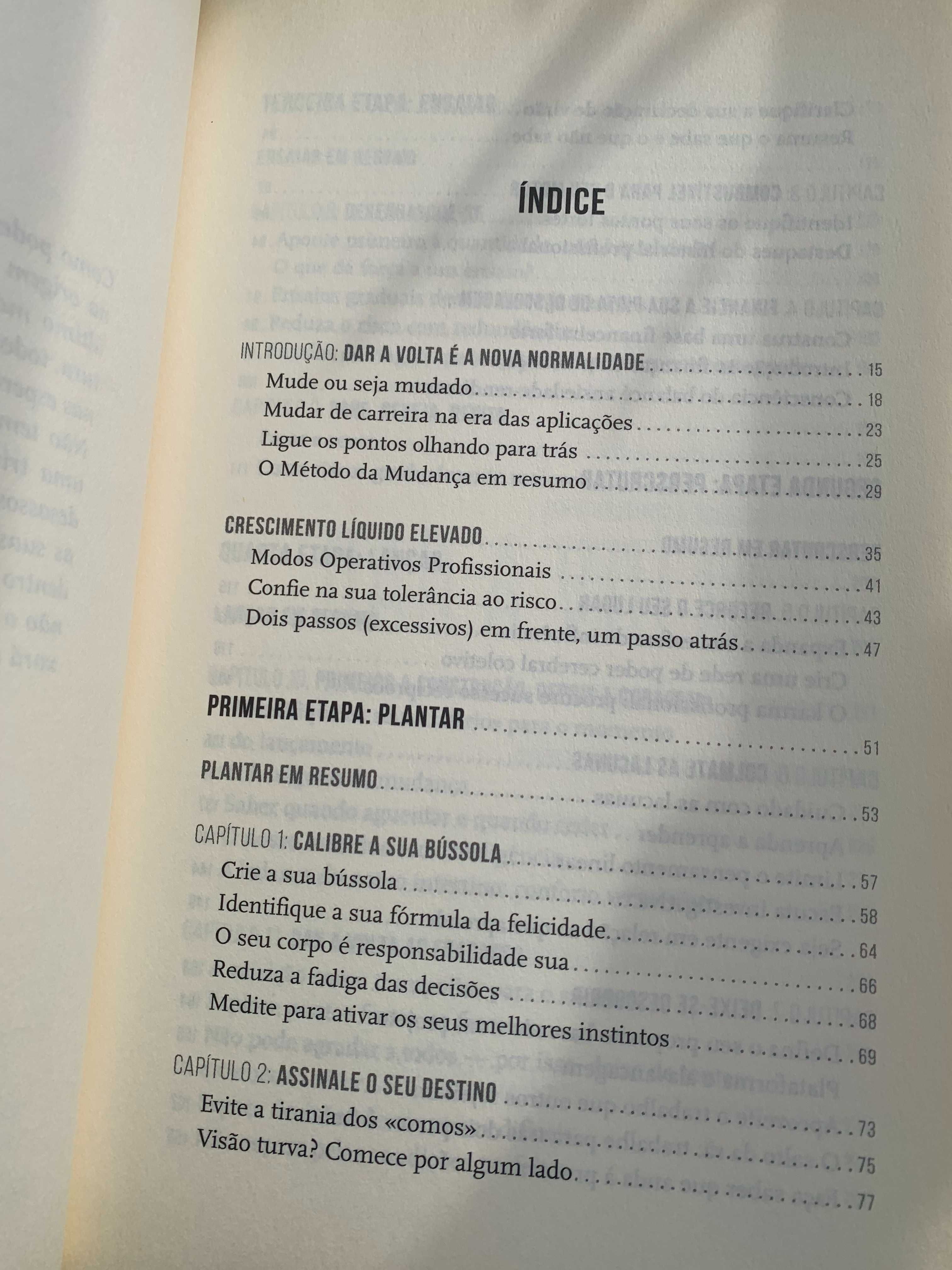Livro Dar a Volta: A Felicidade Profissional tem uma Fórmula 1ª Edição